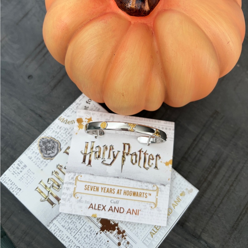 Alex and Ani Harry Potter 7 Years At Hogwarts Cuff Bracelet